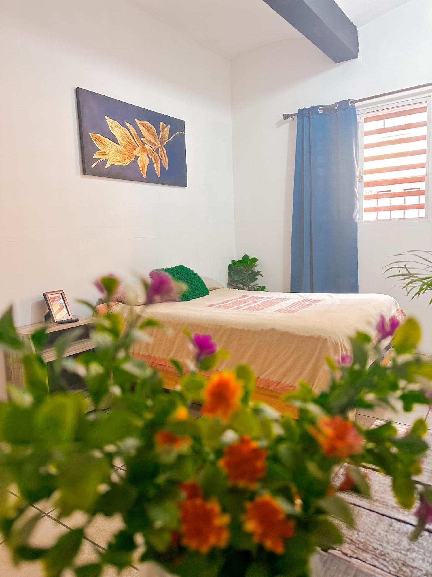 Habitacionez Hvuz Oaxaca المظهر الخارجي الصورة